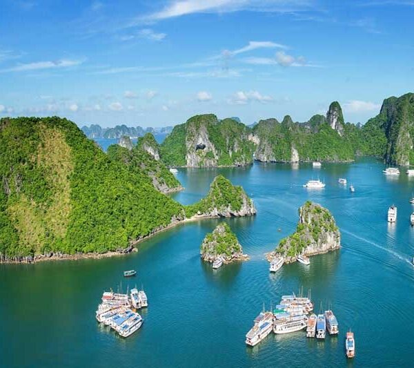 Tour HẠ LONG 1 NGÀY - Hang Sửng Sốt , Đảo Titop , Tắm Biển