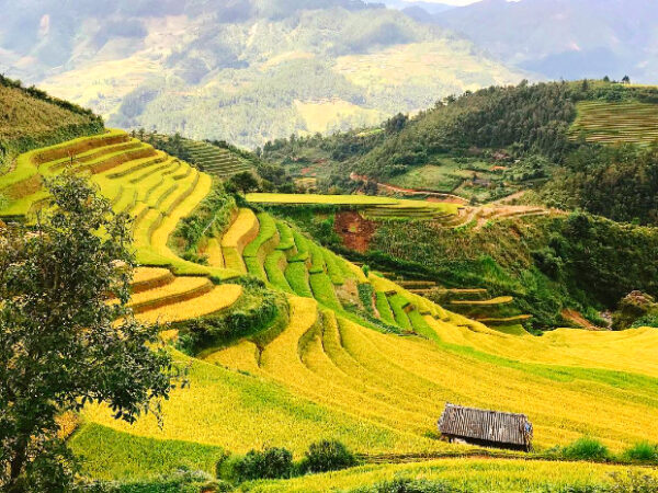 Tour NINH BÌNH - HẠ LONG - SAPA - 5 Ngày 4 Đêm