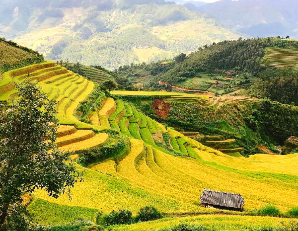 Tour NINH BÌNH - HẠ LONG - SAPA - 5 Ngày 4 Đêm