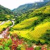 Tour SAPA 2 NGÀY 2 ĐÊM - Khởi hành BUỔI TỐI